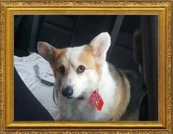 Peggy Sue McConnell 2008-2017